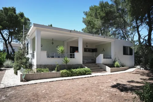 Apartments Antica - Pet friendly