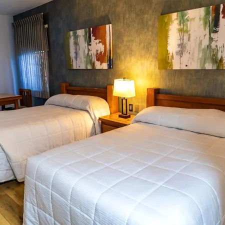 Hotel Suites El Paseo