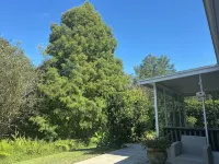 Oldsmar Oakleaf Villa! on Wildlife Area, Natural Privacy! Patio Garage. King Bed - Wifi