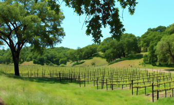 Super 8 by Wyndham Ukiah