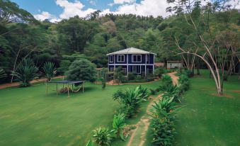 a house is nestled in a lush green forest , with trees and plants surrounding it at Bocawina Rainforest Resort