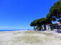 Apartamentos Pins Marina 46