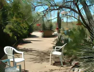 Bed and Bagels of Tucson