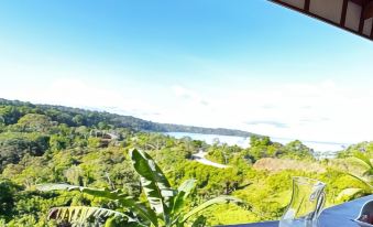 Ocean and Forest View Manolo Cabins