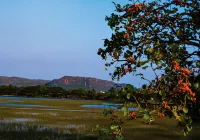 Baan Thung Kheiyng Bung Resort Hotels in Bueng Khong Long