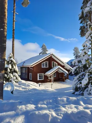 Tahko Hills Các khách sạn ở 