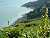 Apollo Guest House Hotels in Hastings