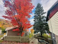 Knotty Pine Cottages, Suites & Motel Rooms Hotels in Victoria County