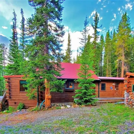 3 BR Mountain Log Cabin at St. Mary's Glacier