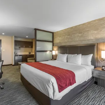 Comfort Inn & Suites Airport North