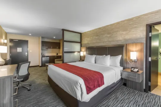 Comfort Inn & Suites Airport North Hotels in 