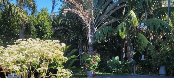 Kennington Palms B&B/Self Catering Hotels in Amatole