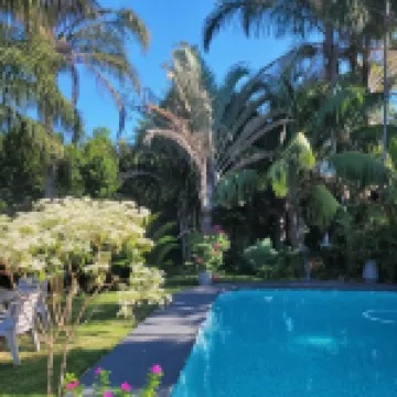 Kennington Palms B&B/Self Catering