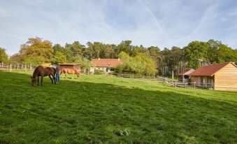 B&B Zinnen en Minnen