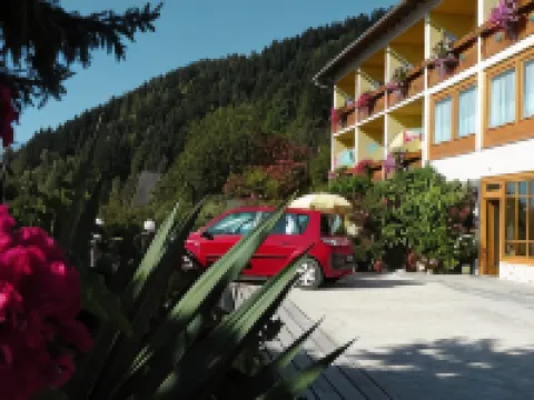 Pension Zum Mühlrad Hotels in Millstatt