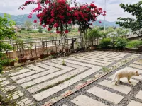 Homestay Tit Mit  호텔