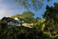 Greenwood Edge Kandy