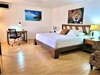 Hotel Zima Các khách sạn ở Perez Zeledon