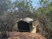 Horseshoe Game Reserve Hotels in 