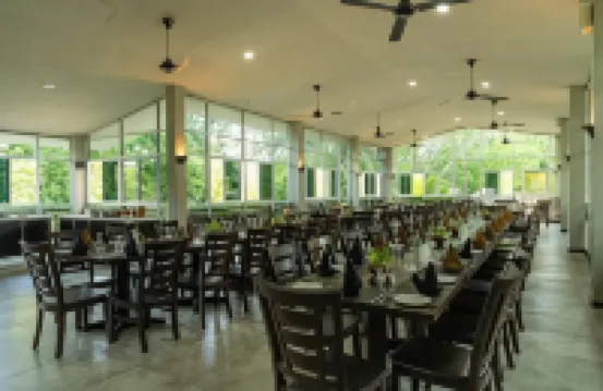 Oak Ray Elephant Lake