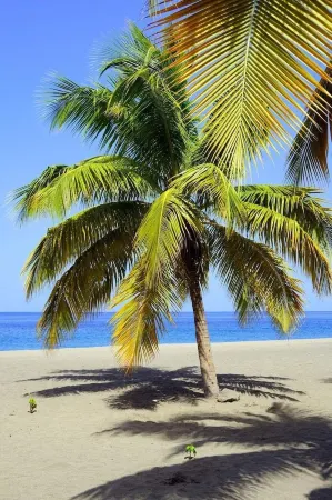 Bright house overlooking the bay of Marin
