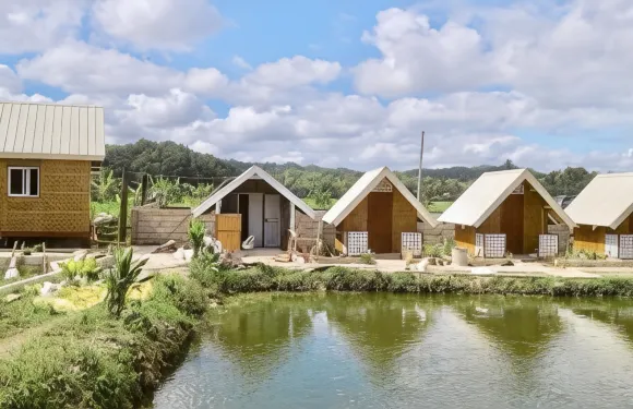 巴端薄荷島爵士農場旅館