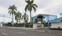 David Motor Inn