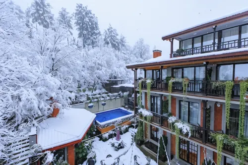 Seventeen Rooms Hotels in Telavi