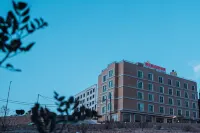 佩特拉月亮酒店 酒店