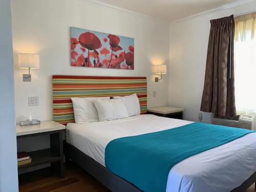 Sandyland Reef Inn - Pools