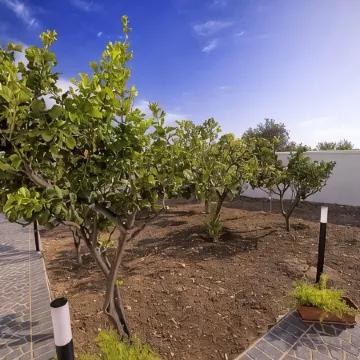 Home Scala dei Turchi B&B