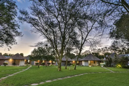 Protea Hotel Oudtshoorn Riempie Estate Hotels in Oudtshoorn