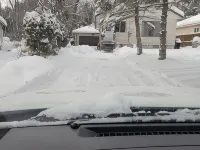 ARCA  Cozy Cabin-Innisfil Beach Hotels in Cookstown