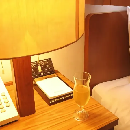 Business Hotel Sunlight Honkan