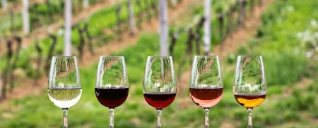 LakeMont, wifi, GENERATOR, King bd, FREE Lake access +A/C