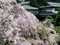 Jimyoin (Pilgrim's Lodging)