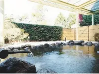 Nogi Onsen Hotel - น้ำพุร้อน