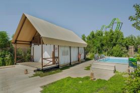 T-Rex Glamping, Dubai Parks and Resorts