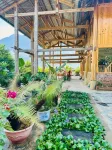 Dinh Sapa Trekking & Homestay