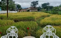Putri Duyung Guest House - Pensions