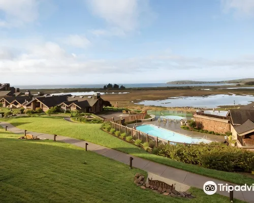 The Lodge at Bodega Bay Hotels in Bodega Bay