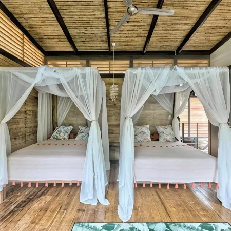 La Shamana - Ecological Concept in Jungle