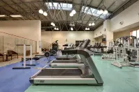 Furama Hotel Dalian - Gym