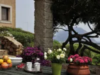 Holiday apartments L'Ea di Lavru SEA VIEW 2-rooms apartment-TOP INTERIOR DESIGN Hotels in Porto San Paolo
