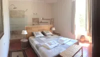 Beautiful Provencal house, French billiards and swimming pool - 8 people