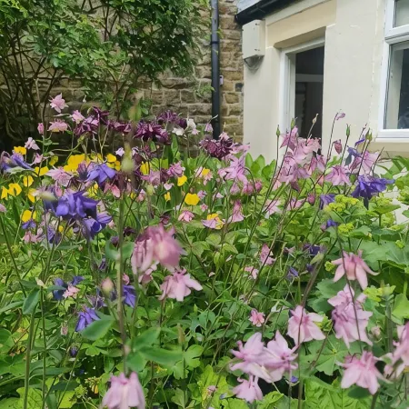 Stunning Pet friendly Cottage in beautiful Weardale