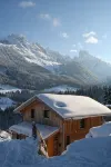 family-friendly cabin Dachstein-West - Homestays