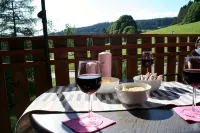 Top apartment Wolfspfote in the vacation resort with swimming pool in the Hochschwarzwald paradise - Homestays