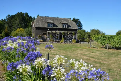 Vineyard Hideaway, peace and tranquility - 3 stelle