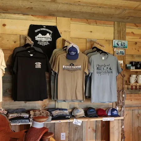 Kara Creek Queen Bed Cabin #9